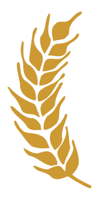 Левый колос