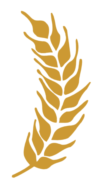 Правый колос